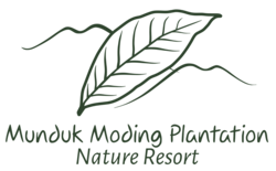Munduk Moding