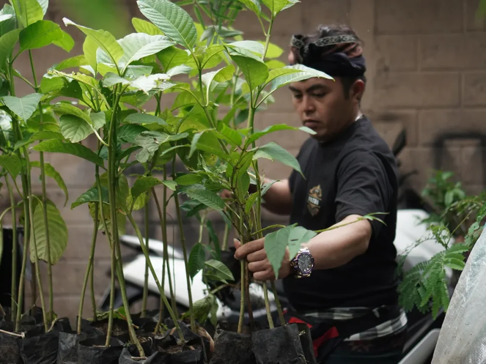 Economic, Environmental & Social Values