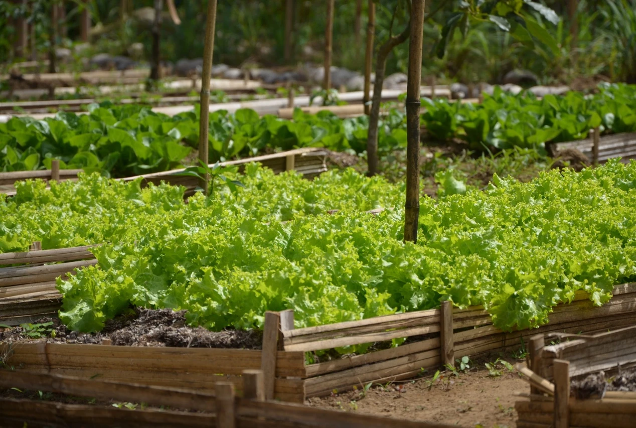 facilities-gardern-2