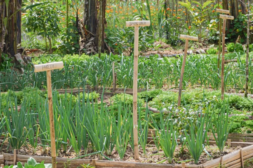 facilities-gardern-3