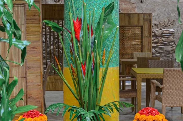 facilities-soap-tree-hall-1