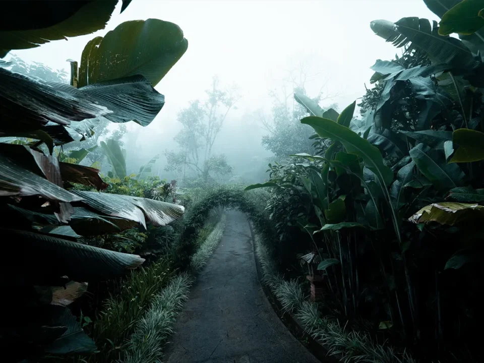 Our Journey Together