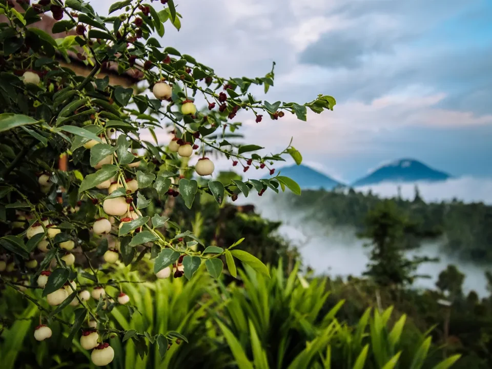 Our Journey Together